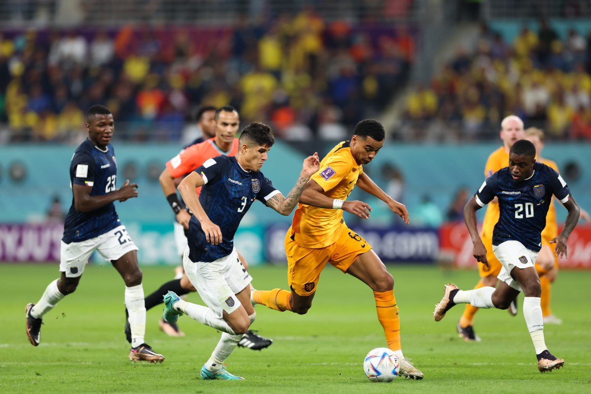 荷兰队以小组第一出线，期待更多胜利