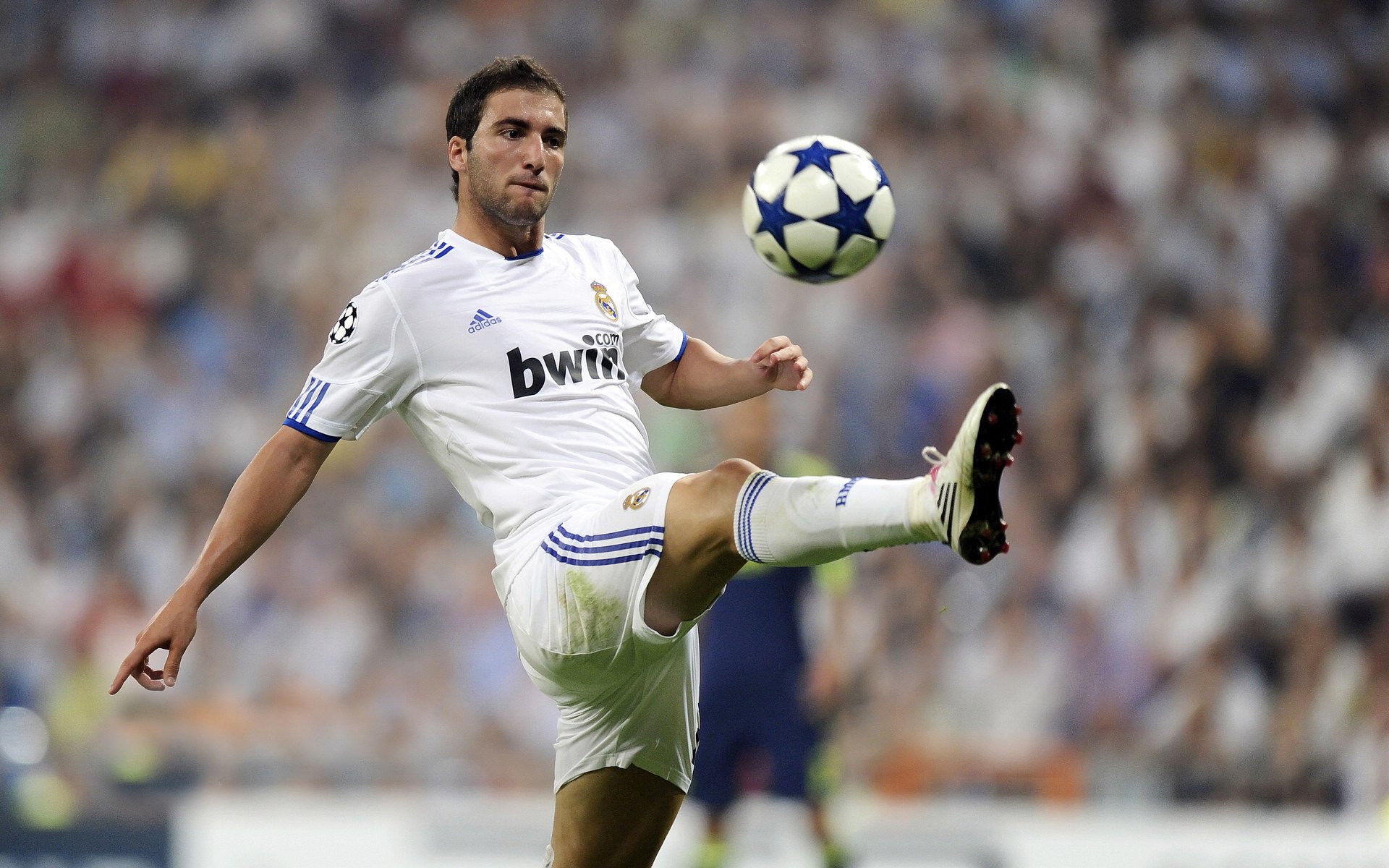 IM体育赛事直播入口-几内亚血拼韩国，迪亚斯扛起全队的背后，是非洲足球的坚韧与亚洲豪门的困境